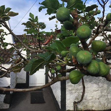 Rosa Do Canto Monte  Exterior photo