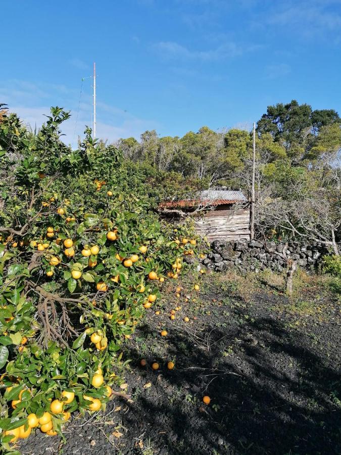 Rosa Do Canto Monte  Exterior photo